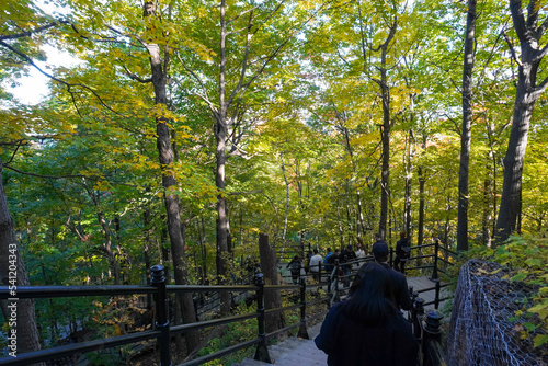 Montreal, Quebec - Canada - October 10, 2022: People Walking Down the Mount Royal Park Stairs. Outdoor Activity in a Sunny Day.