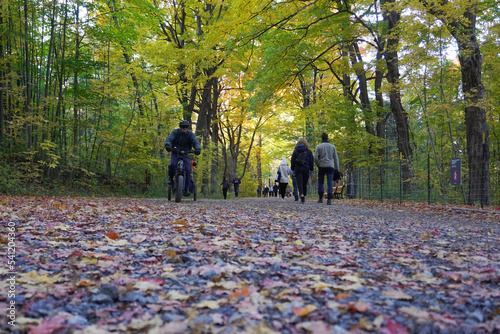 Montreal, Quebec - Canada - October 10, 2022: People Cycling and Walking at Mount Royal Park. Autumn Outdoor Sports.
