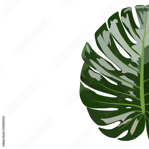 Beautiful realistic template with flower.Monster flower.Frame,template,background,wallpaper with plant.Monster leaves.Beautiful plant leaf