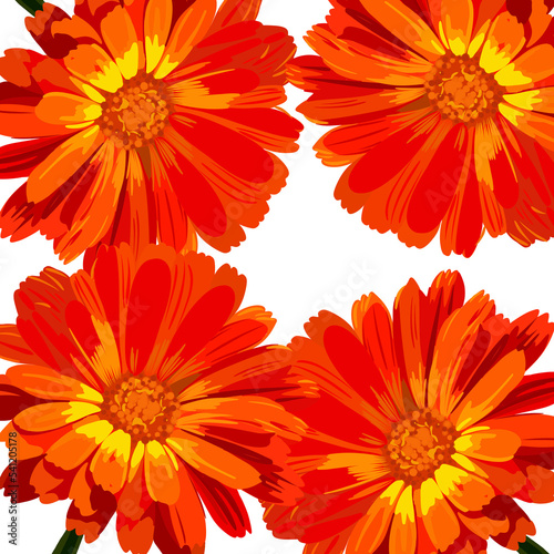 Beautiful realistic template with flower.Flower gerbera calendula.Frame template background wallpaper with flower.Bright orange flower.