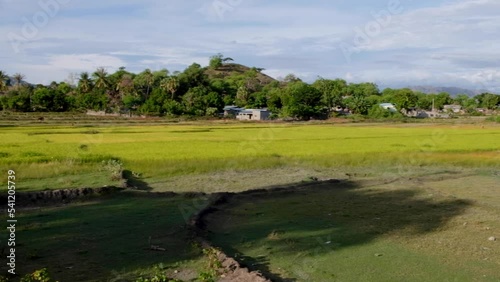 View of beautiful scenic landscape of rural countryside, farmland and rice paddies in Manatuto municipality, Timor Leste in Southeast Asia photo