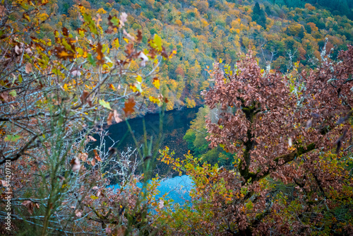 Colorful autumn forest scene with river flowing through the valley