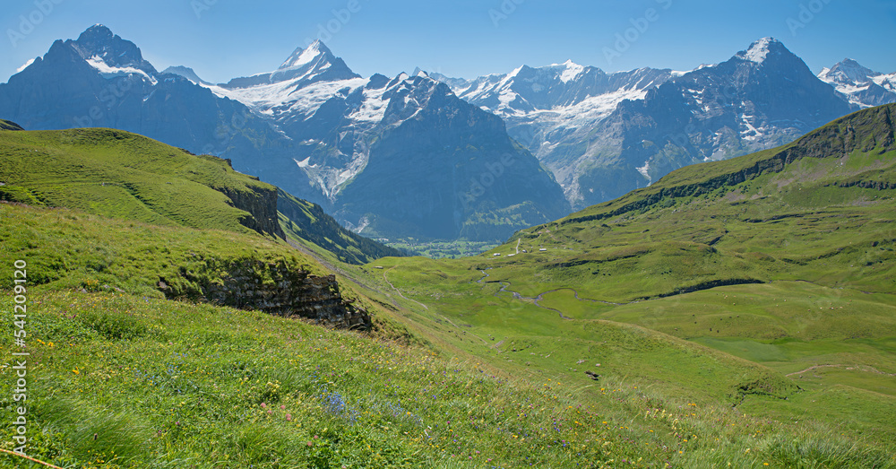 wide green pasture in front of alpine landscape Bernese Oberland, tourist resort Grindelwald