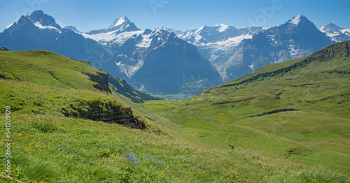 wide green pasture in front of alpine landscape Bernese Oberland, tourist resort Grindelwald