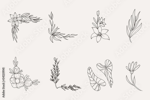 Flowers and leaves line. Hand drawn line botanical elements frames and borders. Floral decor, wedding invitation decor, cards and posters design objects, vector contemporary botanic set