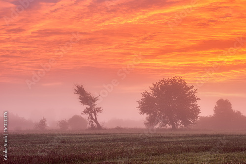 Colorful landscape view of a crimson cloudy sky and a misty meadow with trees at sunrise or sunset. Summer autumn season.