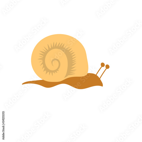 aquascape snail illustration