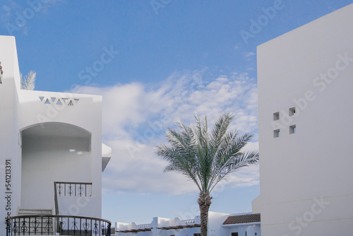 Cases of hotels in Turkey or Egypt. Palm trees in the hotel complex. Tourism in warm countries on the sea coast. Background screensaver minimalism neutral. Palm leaves against the sky