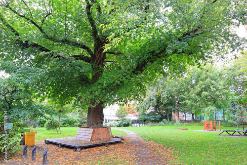 Small park on Podil in Kyiv  Ukraine