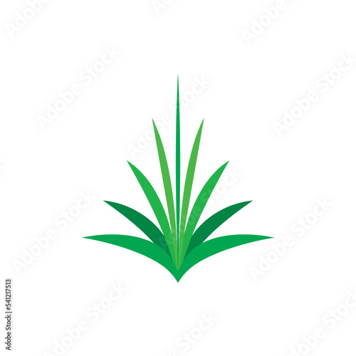 agave plant logo icon vector symbol