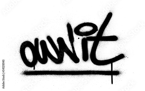 graffiti own it text sprayed in black over white