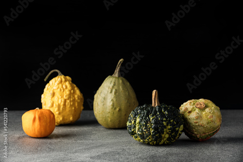 Variety of pumpkins, zucchini and gourds on a gray kitchen table on a black background, close-up. The concept of autumn, halloween, harvest. Free space for text