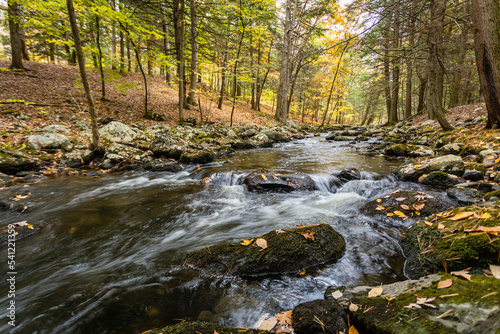Stokes State Forest in Sussex County  NJ  is basked in brilliant autumn colors as the Flatbrook gently graces the rocks