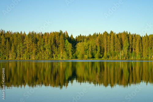 Fototapeta Naklejka Na Ścianę i Meble -  The horizon of green trees on the lake shore. Blue water with green pines. There are many trees on the shore by the water. Fishing on the lake. A trip to the forest.