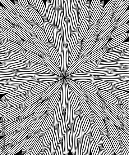 black and white abstract 
flower background