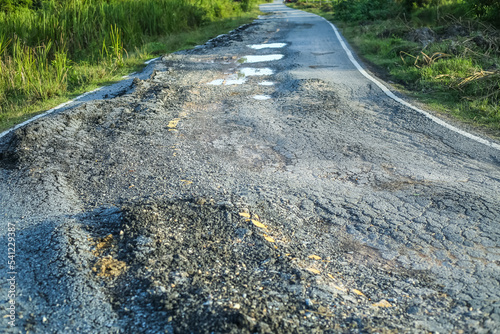 road in the park