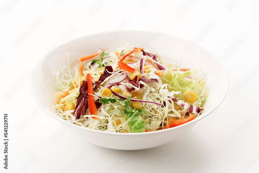 千切りキャベツとカラフル野菜のサラダ 千切りキャベツとカラフル野菜のサラダ