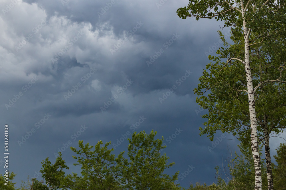 Obraz premium Dark storm clouds in the sky and silhouette of trees