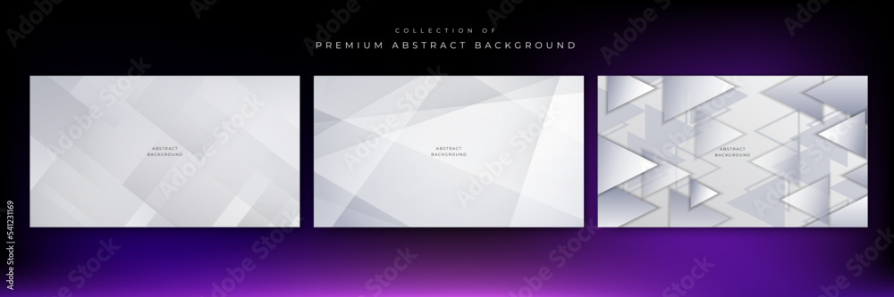 Modern simple white abstract background with geometric shape and wave curve line. Abstract geometric white and gray color elegant background. vector illustration