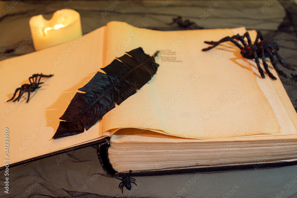 Open old book with yellow pages, black writing feather, spiders and burning candle