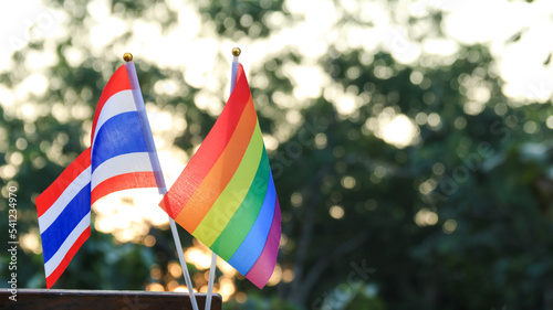 LGBTQ and Thai flag decorated to call out the world to respect gender diversity in pride month, soft and selective focus on the flags.                                           