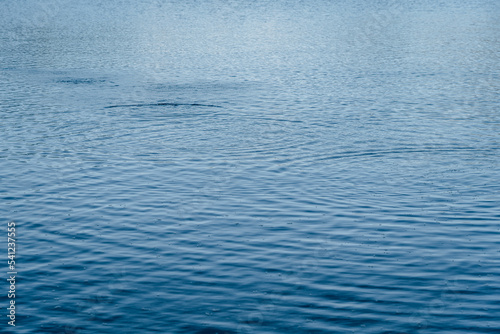 blue water surface © StefanSperl