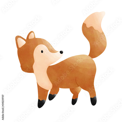 fox