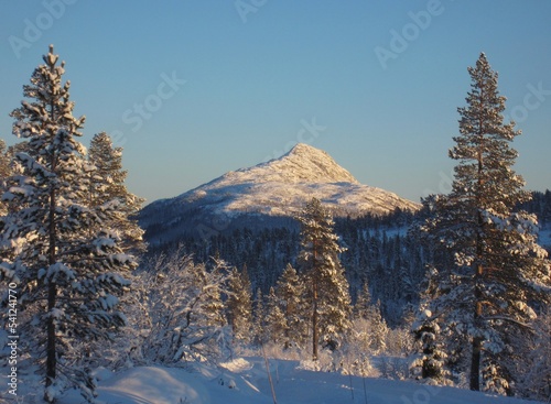 Himingen in the Lifjell mountain plateau in the Mid-Telemark region, Norway. Himingen is a 1066m high summit and is located in Hjartdal