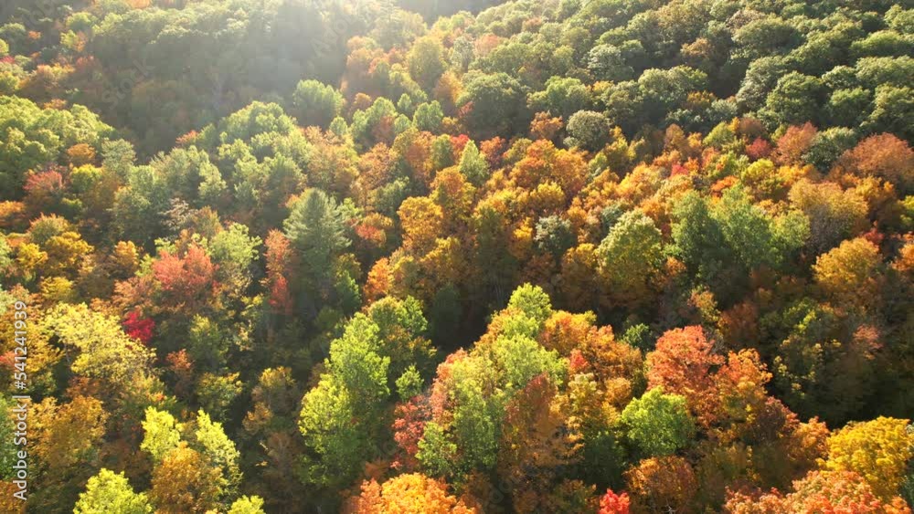 Aerial view drone of wonderful colors in a Canadian national park during autumn. Colorful video 4K Aerial view drone of wonderful colors in a Canadian national park during autumn. Colorful video 4K