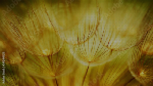 Inflorescence of dandelions in the rays of the sun. Graphic wallpaper in the form of a cross-stitched picture. Vector.