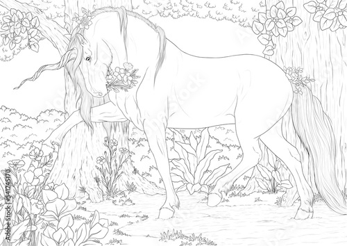 Unicorn and flowers A4 coloring book