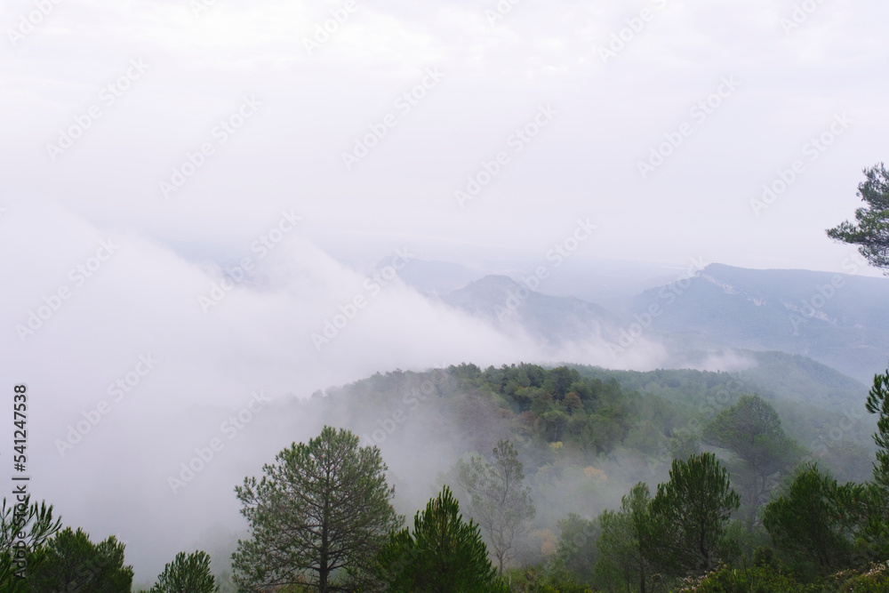 Mountain landscape with mist covering everything.