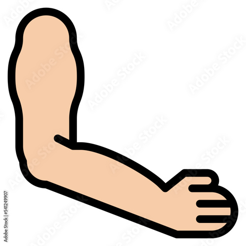 arm human body organ