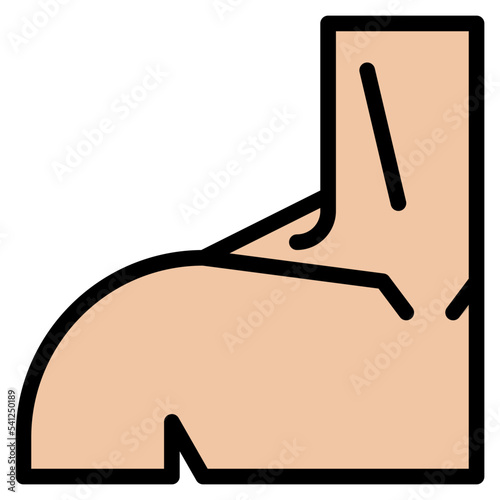 shoulder human body organ