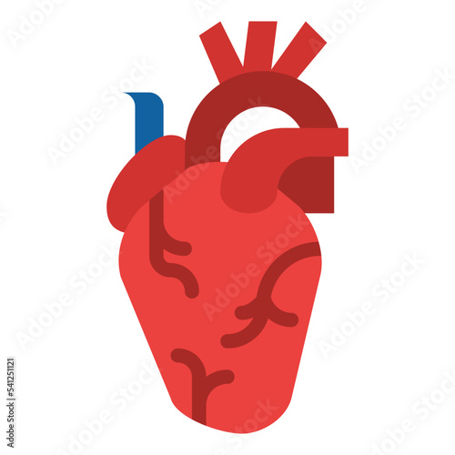 heart human body organ