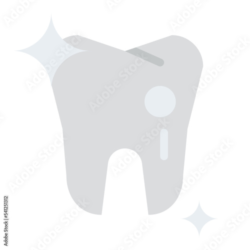 tooth human body organ