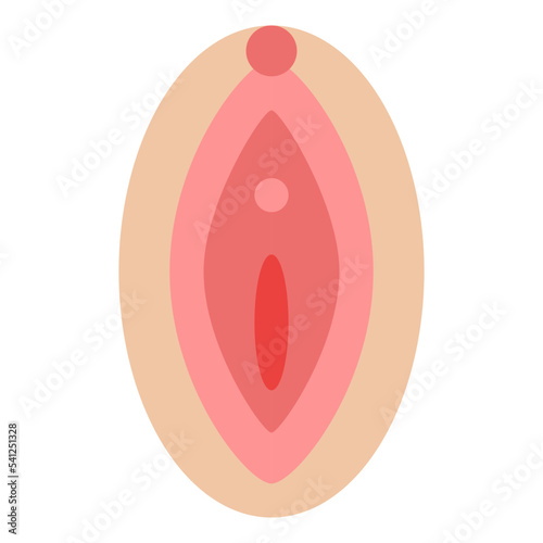 vagina human body organ photo