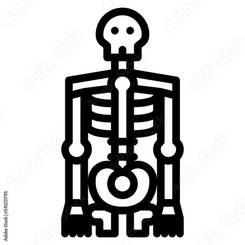skeleton human body organ