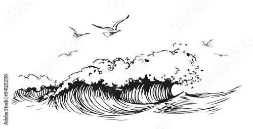 Birds fly over the sea. Seascape with waves, seagulls. Travel concept. Hand drawn landscape in vintage engraving style