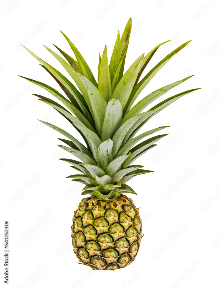 pineapple isolated and save as to PNG file pineapple isolated and save as to PNG file