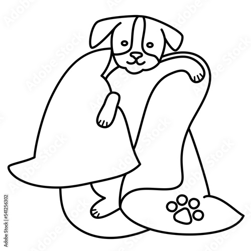 Cute puppy wrapped in towel, washing pet doodle, dog care icon, animal supplies and accessories, vector illustration for pet shop, isolated outline clipart on white background