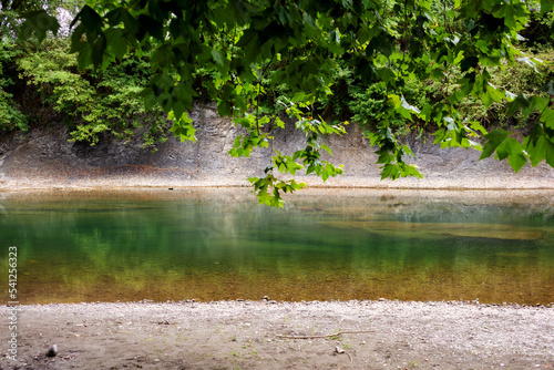 Green leaves on the river background. The branches leaning over the river against the sunlight photo