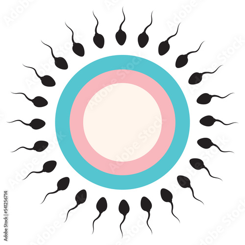 illustration of a sperm icon that fertilizes an egg