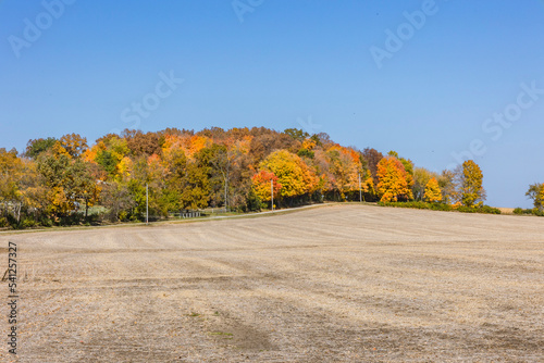 Deciduous woods in autumn colors on a hill with a harvested farm field with soybean stubble in the foreground on a sunny day with a blue sky.
