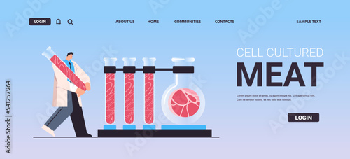 scientist analyzing test tubes with cultured red raw meat made from animal cells artificial lab grown meat production concept