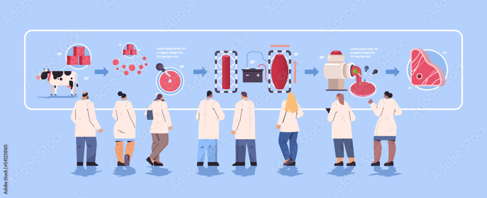 Fototapeta premium scientists controlling production process of cultured red raw meat made from animal cells artificial lab grown meat making steps