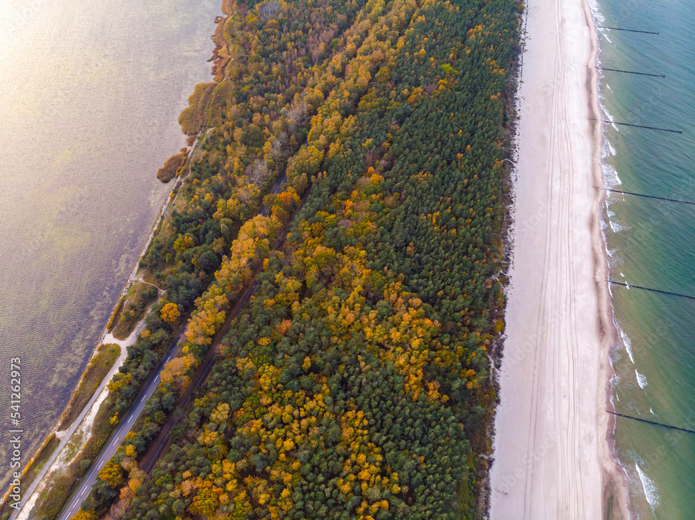 Naklejka premium aerial photo of colourful trees on the hel peninsula at sunset; colourful autumn leaves by the sea; Baltic sea in autumn