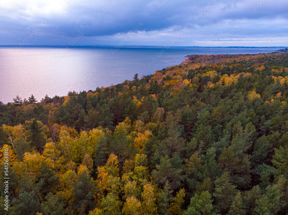 aerial photo of colourful trees on the hel peninsula at sunset; colourful autumn leaves by the sea; Baltic sea in autumn