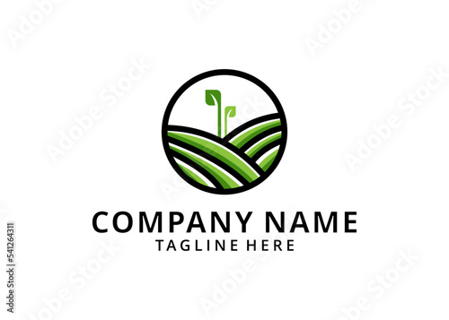 illustration vector logo design is perfect for agriculture, agronomy, wheat farming, rural farm fields, natural harvesting, farmer associations and many more