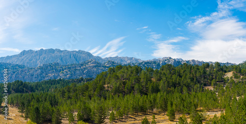 panorama of beautiful green forest, big mountains and blue sky in the background, Taurus Mountains, Turkey. High quality photo